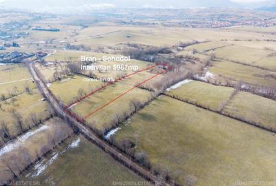 Bran Sohodol,5967mp+teren bonus,intravilan constructii P+E+M,comision0 - 3