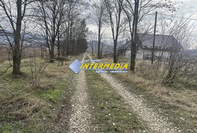 TEREN INTRAVILAN I 800 MP I IGHIU I LATIME 29 ML I IDEAL CASA SAU CABANA I - 2
