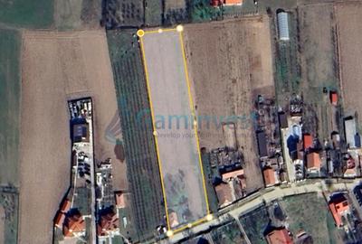 Teren intravilan pentru dezvoltare imobiliara, Les, Bihor 5064mp - 5