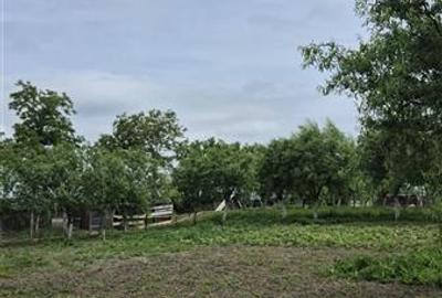 Proprietate deosebita de vanzare | Casa, 13.200 mp teren, doua iazuri cu peste | - 30