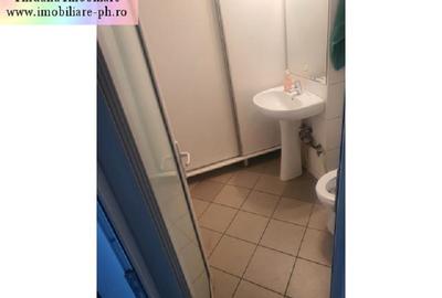 Spațiu comercial de inchiriat - 9 Mai - 7