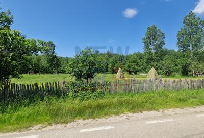 Teren de vanzare in judetul Arges, localitatea Arefu - 1