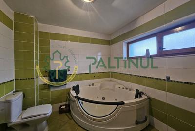 De inchiriat in Selimbar, Sibiu imobil pretabil sediu firma - 19