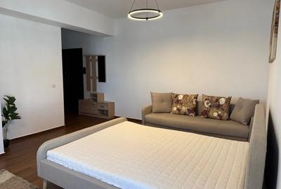 Apartament 1 camera zona Pacurari - 4