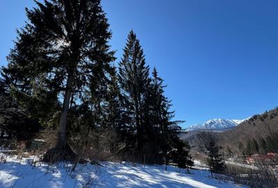 Teren PREDEAL CLABUCET 1664m2 cu asfalt, utilitati si VIEW - 8