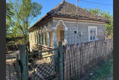 Casă cu teren 6.299 mp, central Gogosu, comision 0% - 3