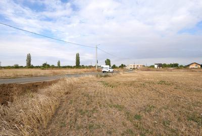 LOTURI PENTRU CASA - 420mp + 89mp drum - Otopeni, Ilfov - IN CURS DE AUTORIZARE - 2