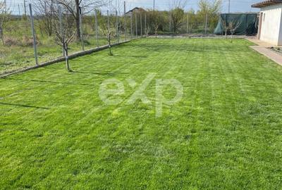 De vanzare casa parter teren generos in apropiere de padure Gradistea - 5