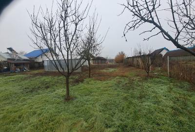 Delta Dunarii - Ilganii de Jos - casa cu deschidere la Dunare - 14