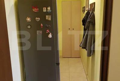 Apartament 2 camere, 47 mp, zona Horea - 3
