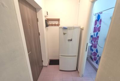 Inchiriere garsoniera cocheta mobilata si utilata zona Centrul Civic AFI Brasov - 22