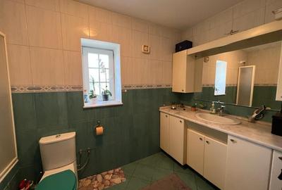 Vila de Vanzare Iancu Nicolae - 11