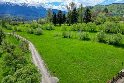 Teren intravilan loturi intre 500 si 1000 m la 14 km de Rasnov - 13