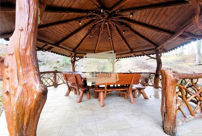 Refugiu rustic in natura – proprietate deosebita in Valea Avrigului – Sibiu - 7