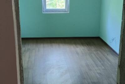 Casa+ casa batraneasca Surupate(Comuna Francesti, Valcea) - 12