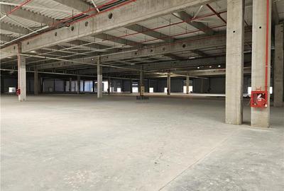 Spatiu Industrial - 7000 mp - Logistica - Productie - Depozitare - Distributie - 16