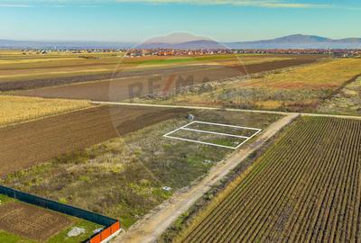 0% Comision | Teren 650 mp | Sacele, Str. Venus | INTRAVILAN - 3