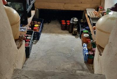 Vilă unică la liziera pădurii-stațiunea Soveja - 6