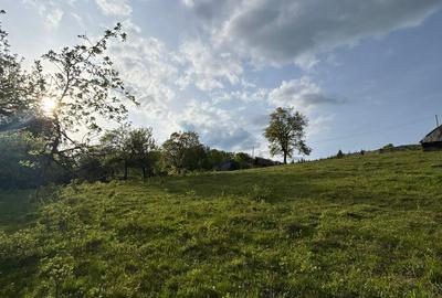 Teren de vânzare în Cugir - 5
