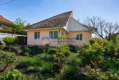 Casa localitea Bistrita - comuna Alexandru cel Bun , toate utilitatile - 15