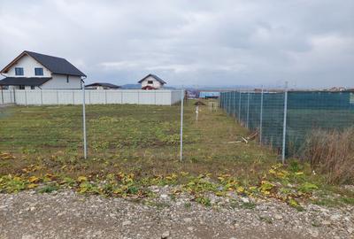 470 mp Teren Intravilan Valea cu Flori - 4