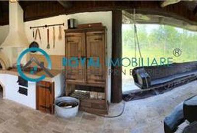Royal Imobiliare -vanzare vila/ casa de vacanta zona CAMPINA - 23