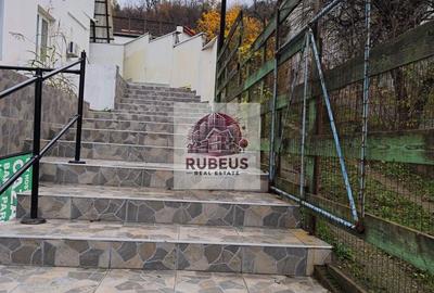 Proprietate langa Dunare – 3000 mp, priveliste si potential business - 28