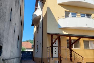 Vilă 515 mp + Spațiu Comercial închiriat (Venit Sigur) - Călimănești - 1