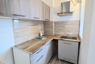 Garsonieră de închiriat – Bd. Victoriei, lângă Piața Dacia, Zona Garii - 4