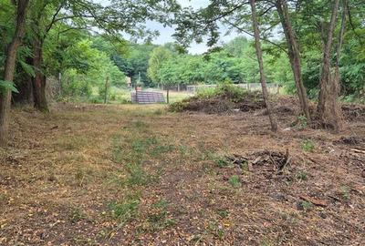 TEREN IDEAL PENTRU A-FRAME SAU UN CONTAINER MODERN - 1