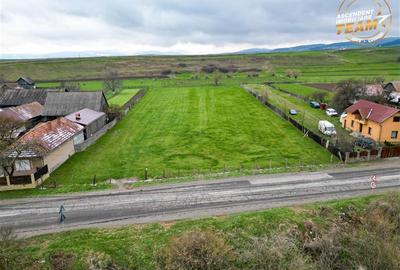 FILM!Potential rezidential/ investitional: 8.000 mp intravilan construibil, Sanz - 2