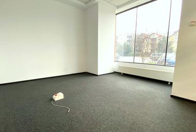 SAD de închiriat – zona Aradului - 6