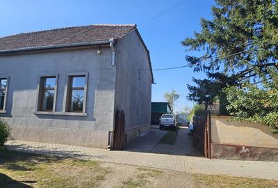 Gelu – Casa 6 Camere – Proiect 2 Familii – Teren Generos - 19