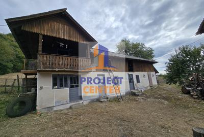 Casa si teren 5.000 mp, Stroesti - 10
