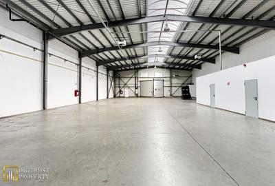 Hala industriala de vanzare, 727 mp - Acces A1, zona logistică Arad - 1