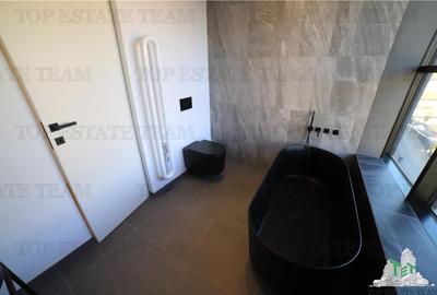 Duplex Loft de vanzare in zona Aviatiei - 7