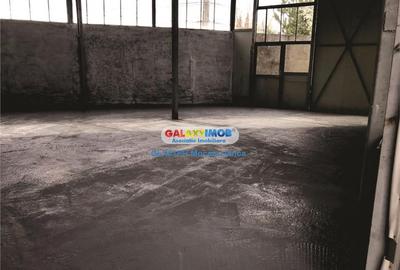 Inchiriere hala 230 mp, in Blejoi, langa Ploiesti - 1