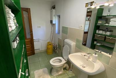 Casa + teren de vanzare comuna Tarcau, Neamt - 14