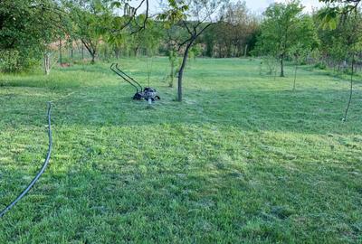 Teren Construcții intravilan de 2000 mp, în Comana