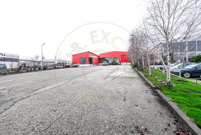 Hala industriala / spatiu comercial – VANZARE – DN 65B – Bradu-Pitesti! - 10