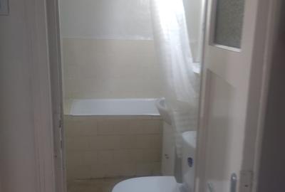 Gara de Nord-Ministerul Transporturilor, Apartament 2 camere - 13