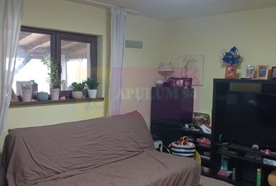 Săbăreni, casă 2011, P+M 4 camere + dependințe, curte 500 mp - 5