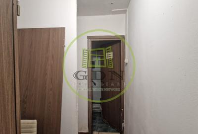 Spatiu comercial, 350mp, Brazda lui Novac, zona Guliver - 12