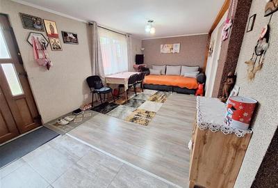 Casa P+M, semimobilata, zona Letea Veche - 14
