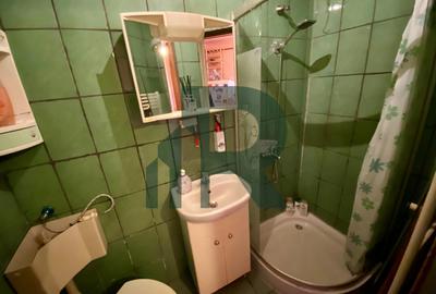 Apartament cu 2 camere la mansarda in Vasile Aaron - 6