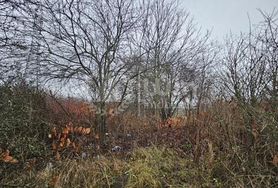 Teren intravilan 1072mp cu puz aprobat | Borhanci | Romul Ladea! - 3