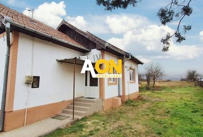 Casa 2 camere, 974 mp teren, Micesti - 1