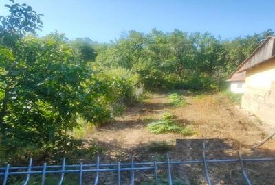 Teren intravilan 1.800 mp - 1