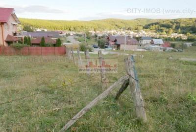 Vanzare teren intravilan constructii  500 mp Com Ocnita, Jud Dambovita - 4