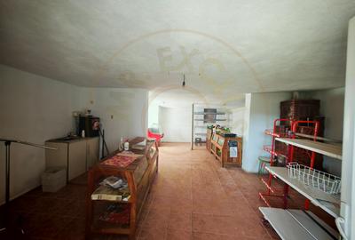 Proprietate compusă din 2 case,3 anexe,teren 3.233 m – Dârmănești, județul Argeș - 3